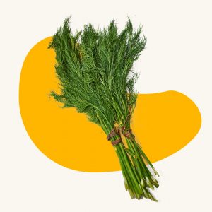Dill