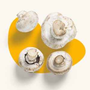 Mushrooms