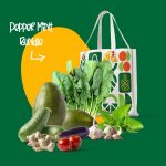 Pepper Mint Bundle