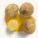 Royal Potato