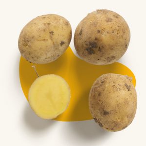 Royal Potato
