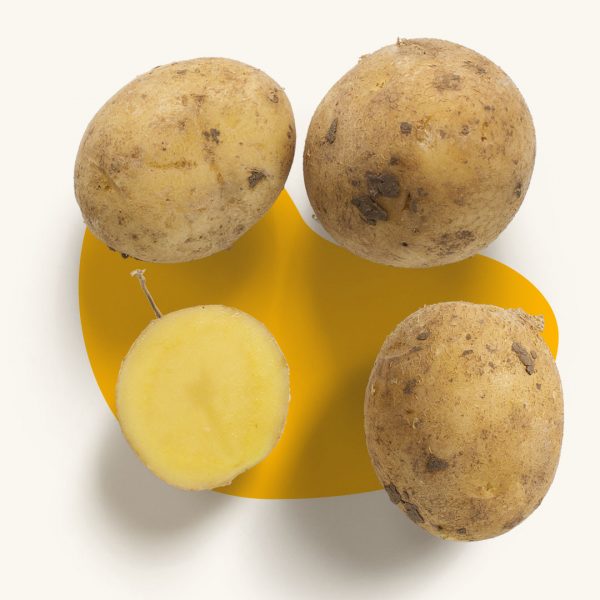 Royal Potato