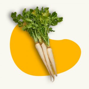 White Radish
