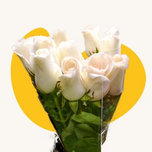 White rose