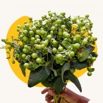 Green berry
