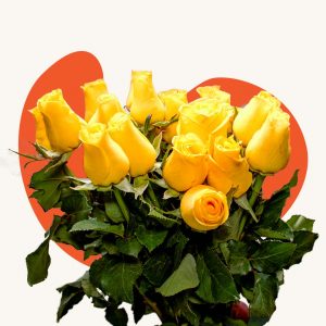Yellow rose