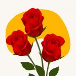 Red rose