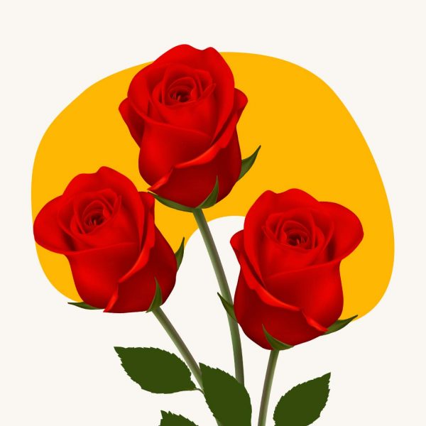 Red rose