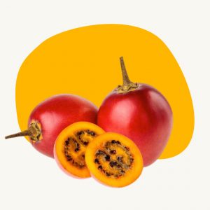 Tree tomato