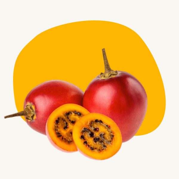 Tree tomato