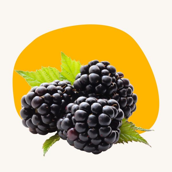Black berry