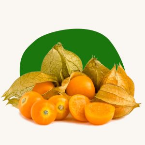 Cape Gooseberry