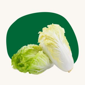 Chinese cabbage