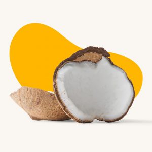 Coconut