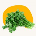Coriander