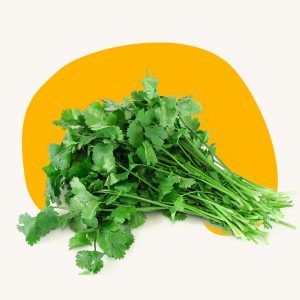 Coriander