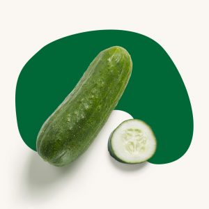 Cucumber