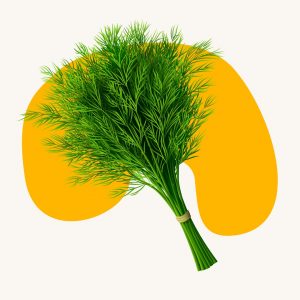 Dill