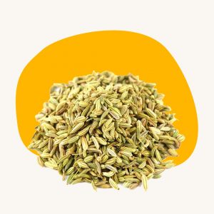 Fennel