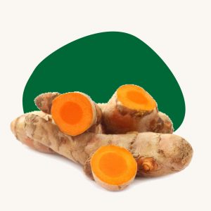 Fresh turmeric