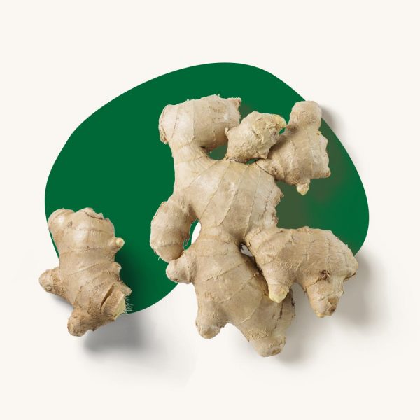 Ginger