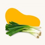 Leek