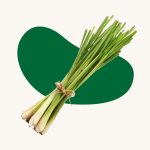 Lemon grass