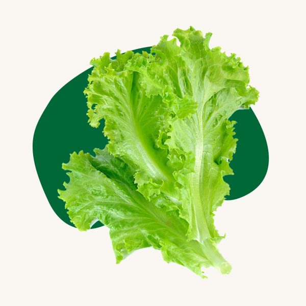Lettuce