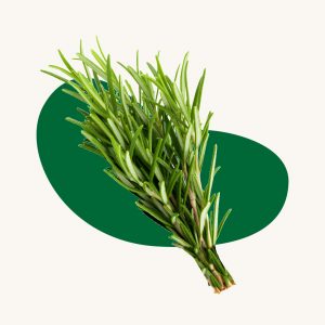 Rosemary