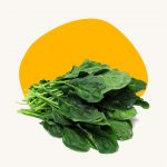 Spinach
