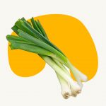 Spring Onion