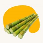 Sugarcane