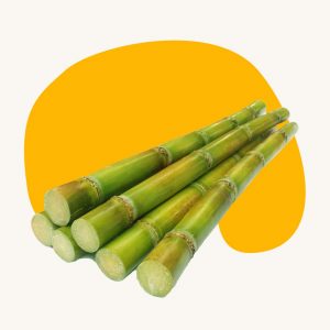 Sugarcane