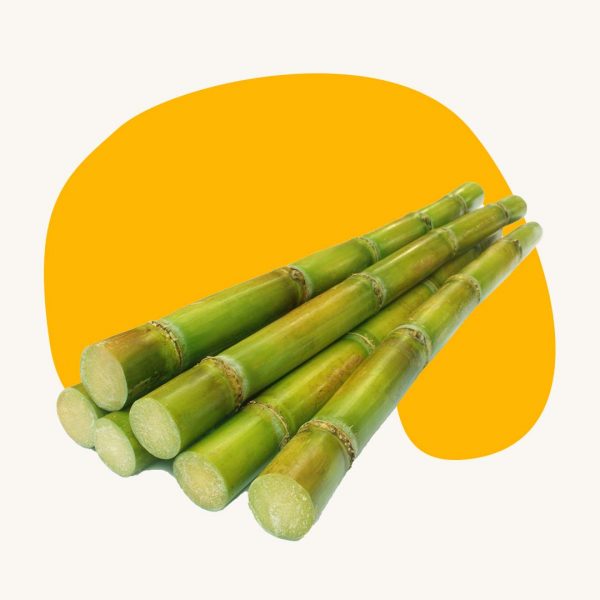 Sugarcane