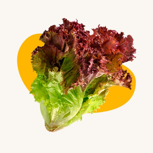 lettuce red