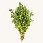 thyme