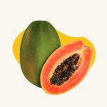 Red Pawpaw