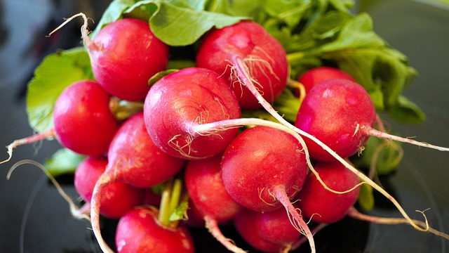 Red Radishes